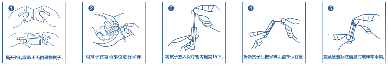 HPV-套裝采樣流程.jpg